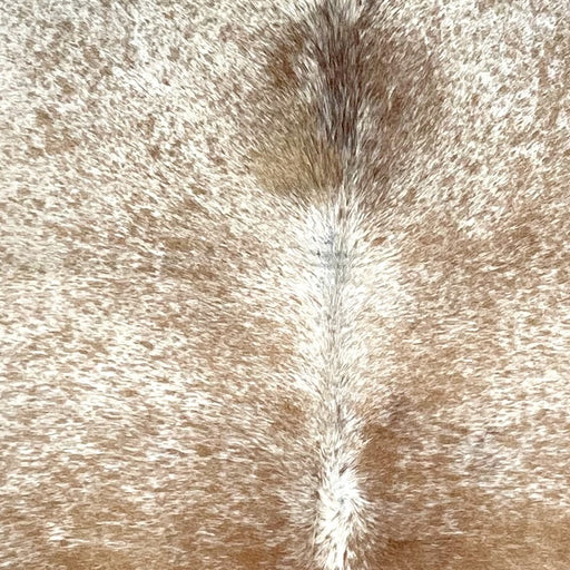 Closeup of this Speckled Brazilian Cowhide, showing off-white with light brown speckles and spots (BRSP3290)