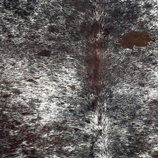 Closeup of this Tricolor Speckled Brazilian Cowhide, showing white with black speckles and black and brown spots (BRSP3291)