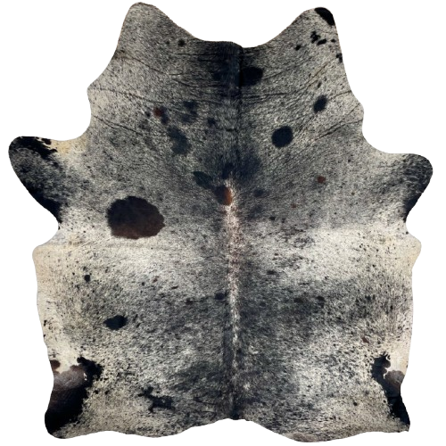 Large Black and Off-White Speckled Brazilian Cowhide: off-white with black speckles and spots, a splash of dark brown on the spine, and two brand mark on the left side of the butt - 7'5" x 6' (BRSP3298)