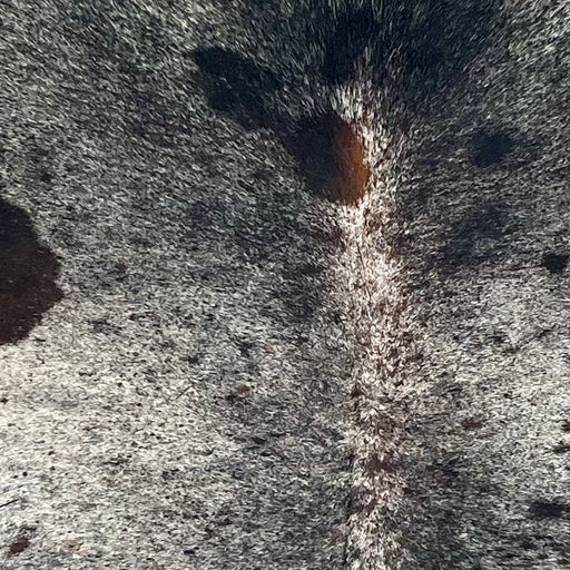 Closeup of this Large Speckled Brazilian Cowhide, showing off-white with black speckles and spots, and a splash of dark brown on the spine (BRSP3298)
