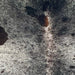 Closeup of this Large Speckled Brazilian Cowhide, showing off-white with black speckles and spots, and a splash of dark brown on the spine (BRSP3298)