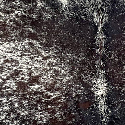 Closeup of this Tricolor Speckled Brazilian Cowhide, showing white with black and dark brown speckles and spots  (BRSP3300)