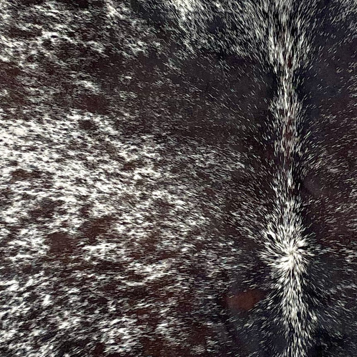 Closeup of this Tricolor Speckled Brazilian Cowhide, showing white with black and dark brown speckles and spots  (BRSP3300)