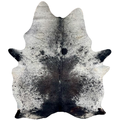 Large Black and White Speckled Brazilian Cowhide: white with black speckles and spots, and a large black spot, with hints of dark brown, in the middle of the back and butt - 7'11" x 5'11" (BRSP3303)