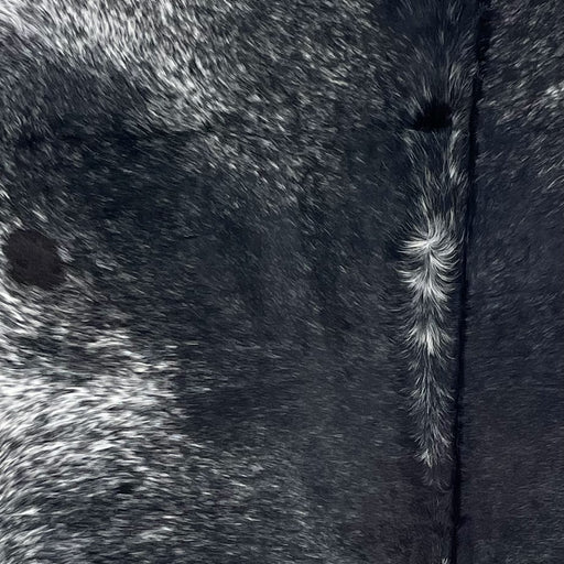 Closeup of this Large Speckled Brazilian Cowhide, showing black with white speckles down the middle, and white with black speckles on the shoulder (BRSP3305)
