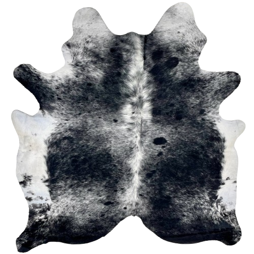 Black and White Speckled Brazilian Cowhide: black with white speckles and spots, white on the belly, and longer hair down the spine - 6'9" x 5'10" (BRSP3306)