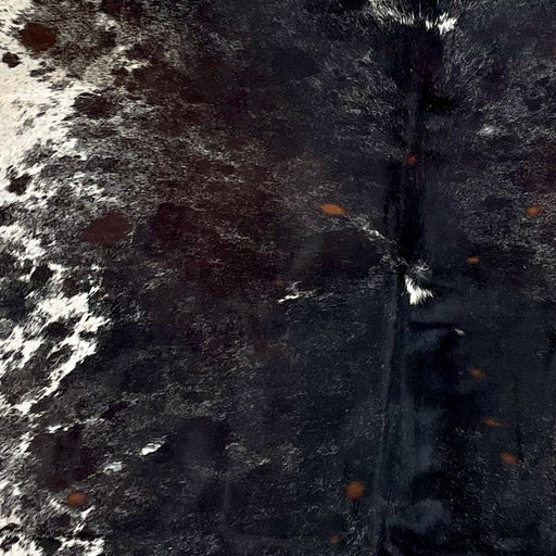 Closeup of this Large Dark Tricolor Speckled Brazilian Cowhide, showing a mix of black and dark brown with white speckles, and a few small, reddish brown spots, and white with black speckles and spots on the belly (BRSP3314)