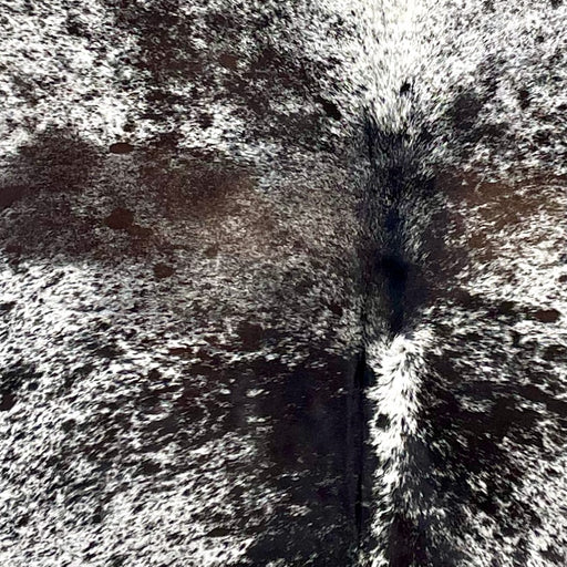 Closeup of this extra-large Tricolor Speckled Brazilian Cowhide, showing white with black and dark brown speckles and spots (BRSP3316)