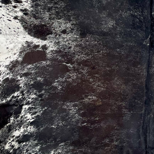 Closeup of this Large Dark Tricolor Speckled Brazilian Cowhide, showing a mix of black and dark brown, with white speckles, and white with black speckles and spots on the belly (BRSP3317)