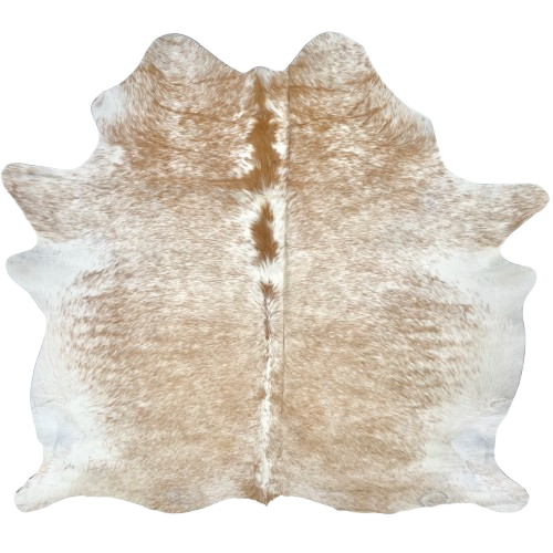 Caramel and White Speckled Brazilian Cowhide: white with caramel speckle and spots, and one brand mark on the right side of the butt - 5'7" x 5'1" (BRSP3321)
