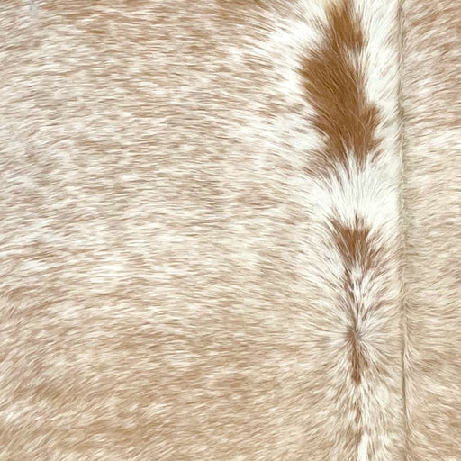 Closeup of this Speckled Brazilian Cowhide, showing white with caramel speckle and spots (BRSP3321)