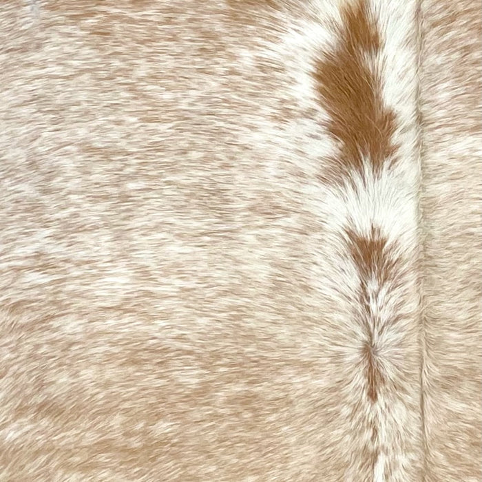 Closeup of this Speckled Brazilian Cowhide, showing white with caramel speckle and spots (BRSP3321)