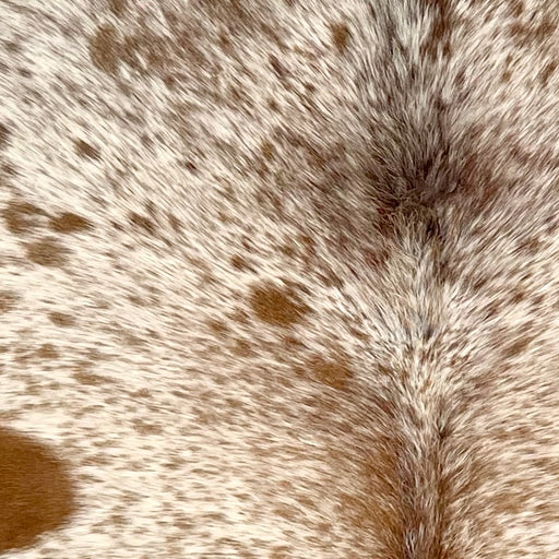 Closeup of this Speckled Brazilian Cowhide, showing off-white with brown speckles and spots (BRSP3322)