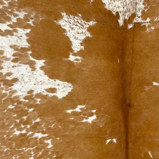 Closeup of this Speckled Brazilian Cowhide, showing white with caramel speckles and large and small, spots (BRSP3323)