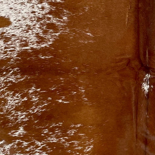 Closeup of this Speckled Brazilian Cowhide, showing white with reddish brown speckles and spots, and mostly solid reddish brown down the middle  (BRSP3325)