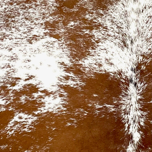 Closeup of this Speckled Brazilian Cowhide, showing white with reddish brown speckles and large and small spots (BRSP3327)