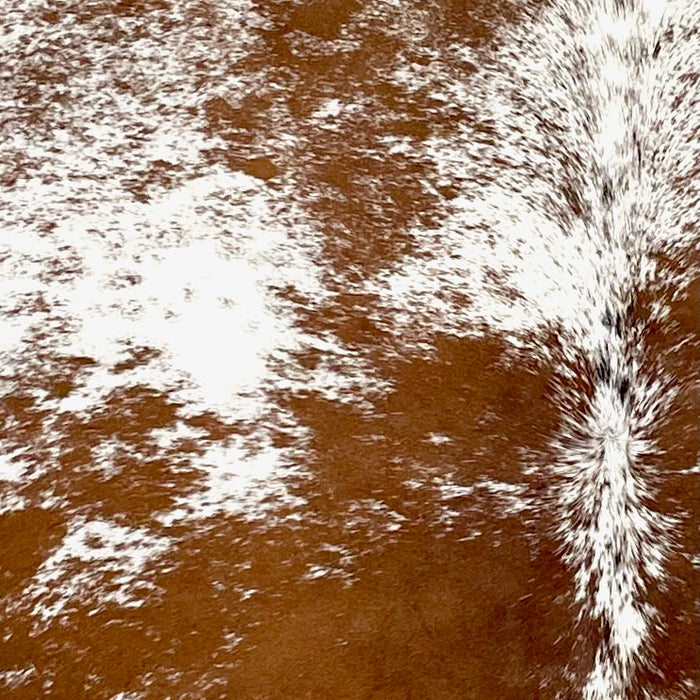 Closeup of this Speckled Brazilian Cowhide, showing white with reddish brown speckles and large and small spots (BRSP3327)