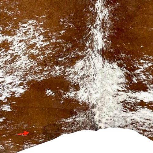 Closeup of this reddish brown and white Speckled Brazilian Cowhide, showing one brand mark on the left side of the butt  (BRSP3327)