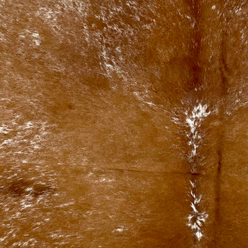 Closeup of this Speckle Brazilian Cowhide, showing brown with white speckles and spots (BRSP3328)