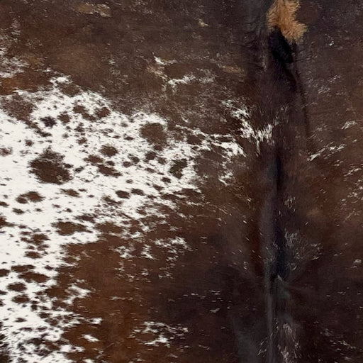 Closeup of this Speckled Brazilian Cowhide, showing white with dark brown speckles and large and small spots, and mostly solid dark brown down the middle  (BRSP3329)