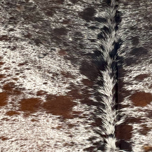 Closeup of this Tricolor Speckled Brazilian Cowhide, showing white with brown and black speckles and spots (BRSP3330)
