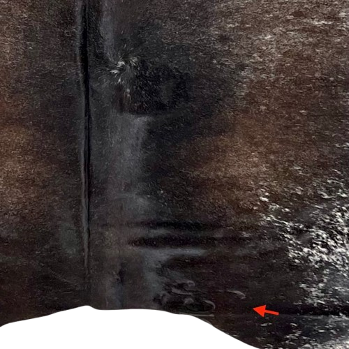 Closeup of this Dark Tricolor Speckled Brazilian Cowhide, showing one brand mark on the right side of the butt (BRSP3331)