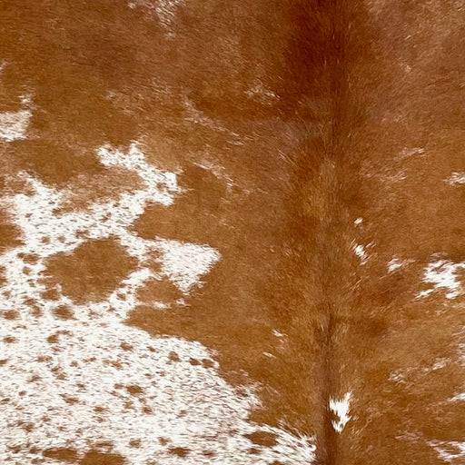 Closeup of this Speckled Brazilian Cowhide, showing white with reddish brown speckles and spots (BRSP3333)