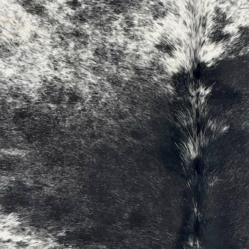 Closeup of this Speckled Brazilian Cowhide, showing white with black speckles and spots on the shoulder, and black with white speckles down both sides of the back  (BRSP3335)