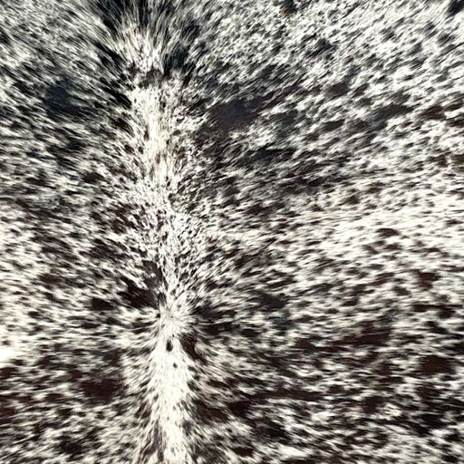Closeup of this Tricolor Speckled Brazilian Cowhide, showing white with black and brownish black speckles and spots (BRSP3337)