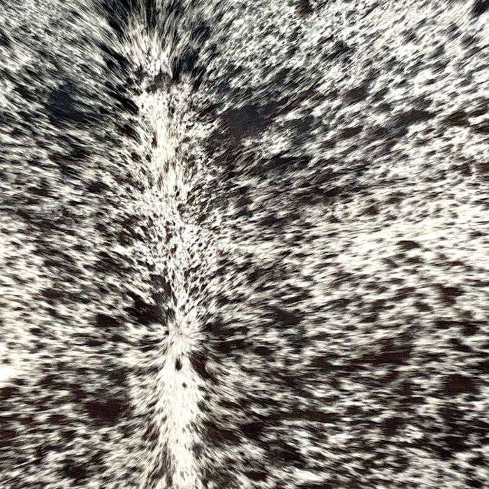 Closeup of this Tricolor Speckled Brazilian Cowhide, showing white with black and brownish black speckles and spots (BRSP3337)