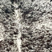 Closeup of this Tricolor Speckled Brazilian Cowhide, showing white with black and brownish black speckles and spots (BRSP3337)