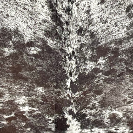Closeup of this Tricolor Speckled Brazilian Cowhide, showing white with black and dark brown speckles and spots (BRSP3338)