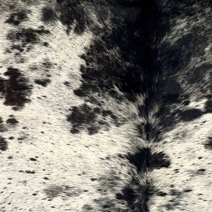 Closeup of this Speckled Brazilian Cowhide, showing off-white with black speckles and spots (BRSP3341)