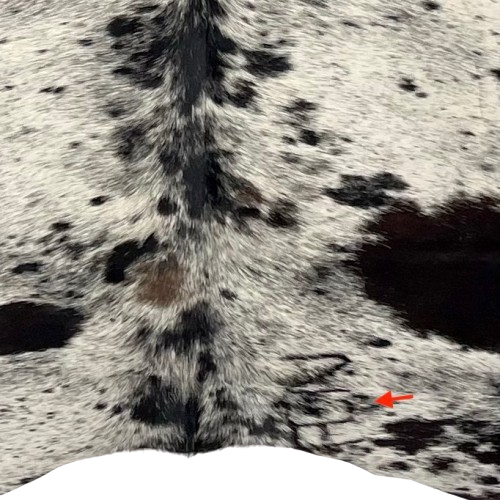 Closeup of this black and off-white Speckled Brazilian Cowhide, showing one brand mark on the right side of the butt  (BRSP3341)