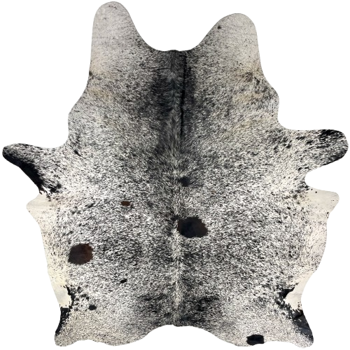 Black and White Speckled Brazilian Cowhide: white with black speckles and spots, and one large and one small, dark brown spots on the left side of the back - 6'11" x 5'4" (BRSP3342)