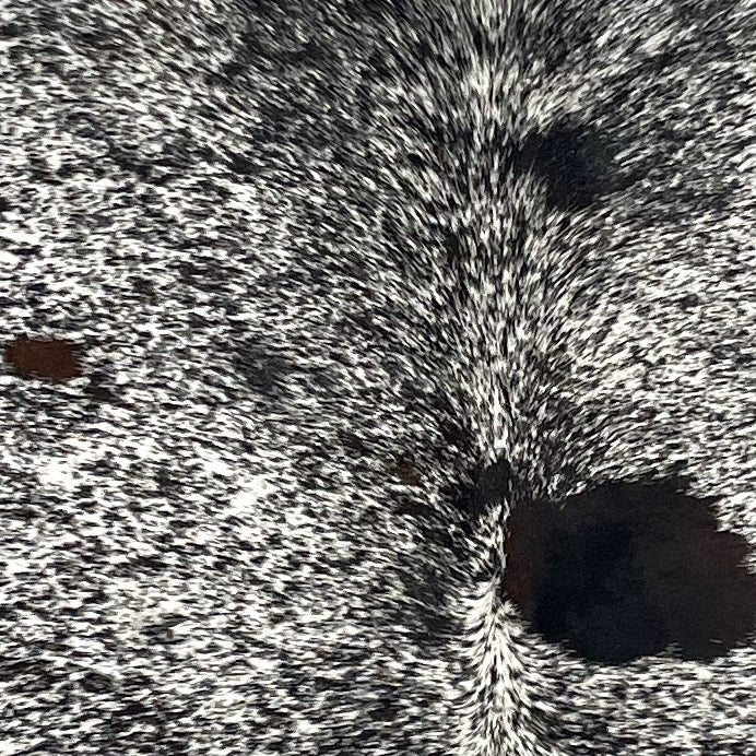 Closeup of this Speckled Brazilian Cowhide, showing white with black speckles and spots (BRSP3342)