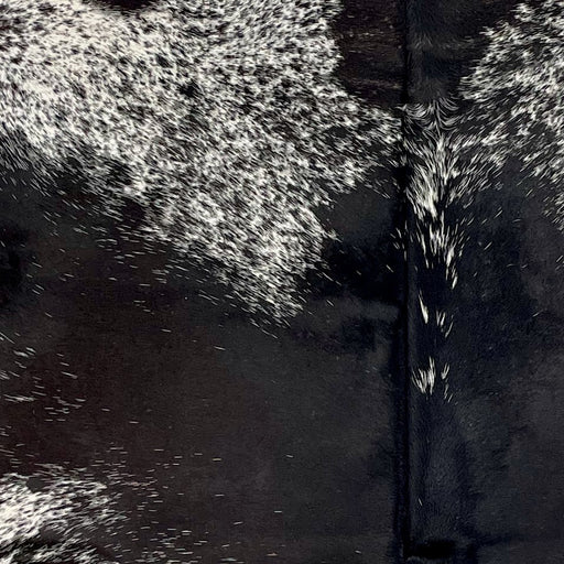 Closeup of this Speckled Brazilian Cowhide, showing mostly solid black down the middle, and white with black speckles and spots on the shoulder  (BRSP3343)