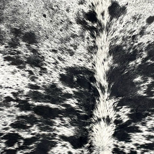 Closeup of this Speckled Brazilian Cowhide, showing white with black speckles and spots (BRSP3344)