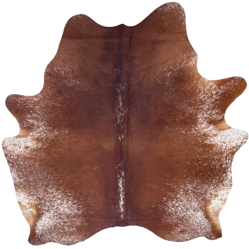 Dk Reddish Brown and White Speckled Brazilian Cowhide: dark reddish brown with white speckles down the spine and the sides, belly, butt, and shanks - 7' x  5'11" (BRSP3358)