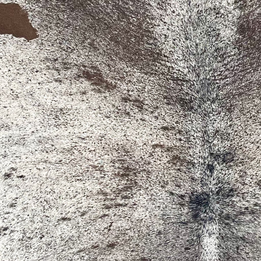 closeup of this Large Speckled Brazilian Cowhide, showing white with dark brown speckles and spots (BRSP3359)