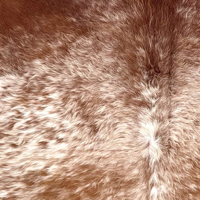Reddish Brown and White Speckled Brazilian Cowhide, long hair - 7'4" x 5'11" (BRSP3360)