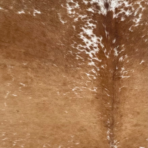 Closeup of this Large Speckled Brazilian Cowhide, showing caramel with white speckles and spots (BRSP3362)