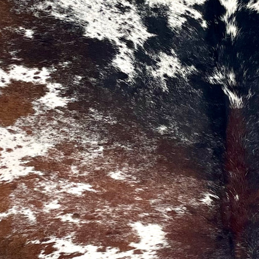 Large Tricolor Speckled Brazilian Cowhide, showing white with black and brown speckles and spots (BRSP3363)