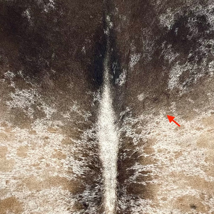 Closeup of this XL Tricolor Speckled Brazilian Cowhide, showing white with brown and beige speckles and spots, abd one brand mark on the right side of the back (BRSP3364)