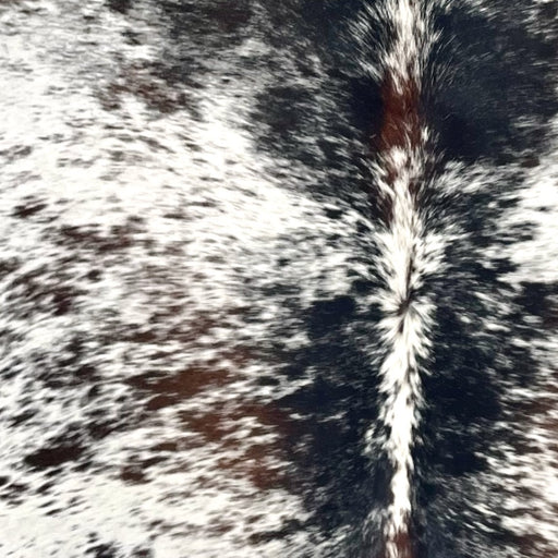 Closeup of this Tricolor Speckled Brazilian Cowhide, showing white with brown and black speckles and spots (BRSP3365)