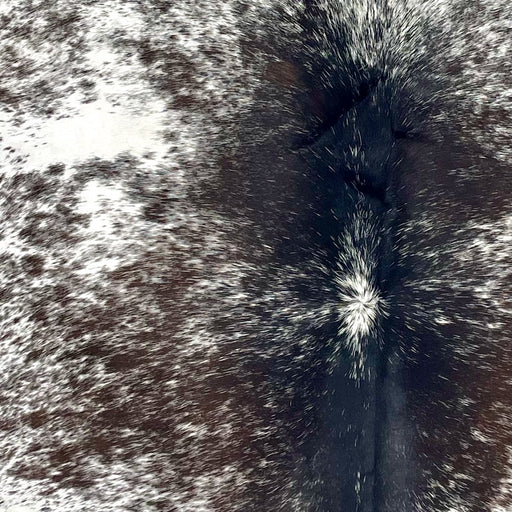 Closeup of this Speckled Brazilian Cowhide, showing white with dark brown and blackish brown spots and speckles  (BRSP3367)