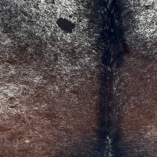 Closeup of this Tricolor Speckled Brazilian Cowhide, showing a mix of dark brown and black, with white speckles  (BRSP3369)