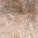 Closeup of this Large Tricolor Speckled Brazilian Cowhide, showing white with reddish brown speckles covering most of the hide, and reddish brown and black speckles on the shoulder (BRSP3370)