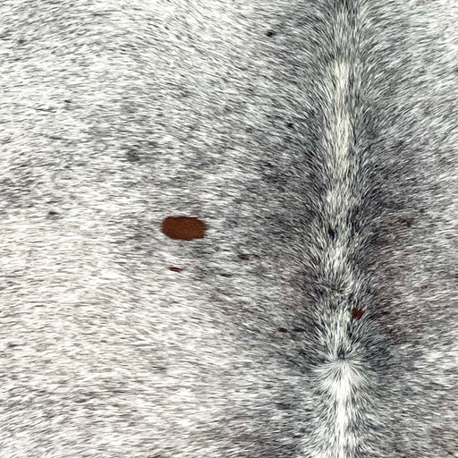 Closeup of this XL Tricolor Speckled Brazilian Cowhide, showing white with black and brown speckles and spots  (BRSP3371)