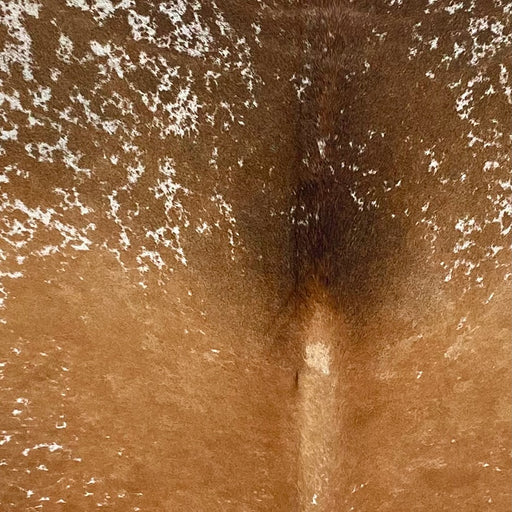 Closeup of this Large Speckled Brazilian Cowhide, showing golden brown with white speckles and spots, and white with chocolate speckles and spots on the shoulder  (BRSP3372)